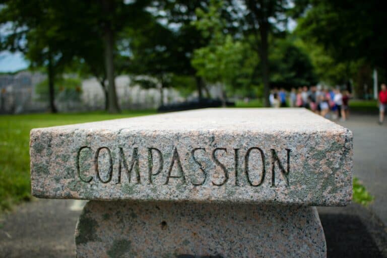 A rock with the word "compassion"