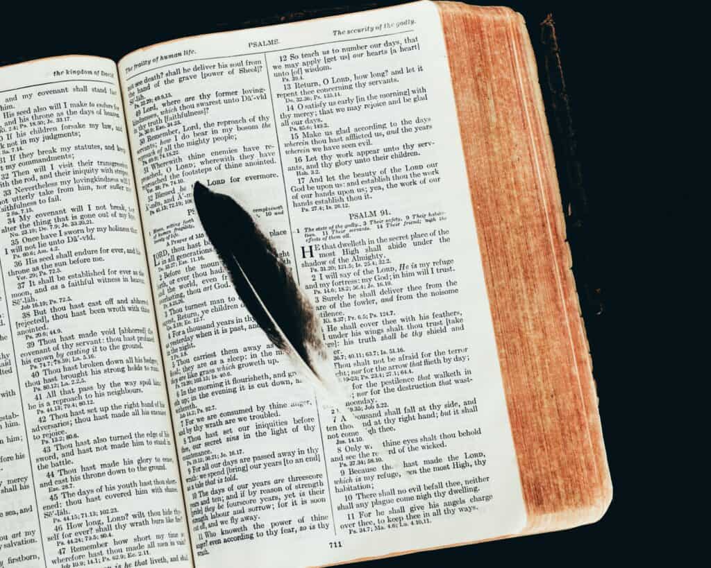 An open Bible with a tiny feather on the pages