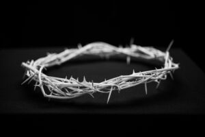 an image of white crown made of prickly branches against a black background