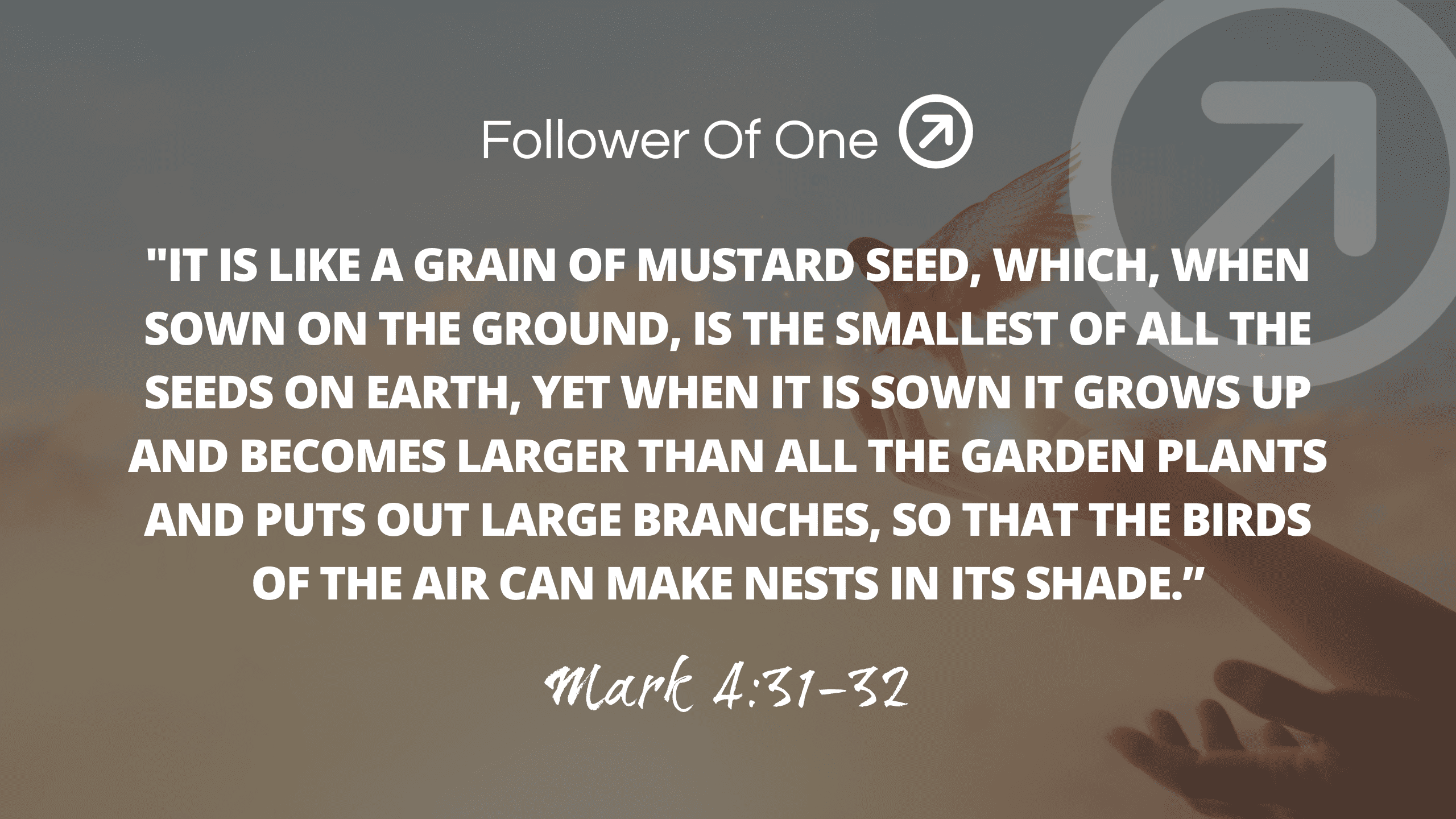 A Mustard Seed of Faith Part 1 - Mark 4:31-32 - Follower Of One